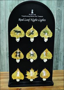 Nightlight Display | Nightlight Stand