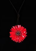 Gerbera Daisy in Red with Leather Cord