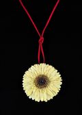 Gerbera Daisy in White with Leather Cord